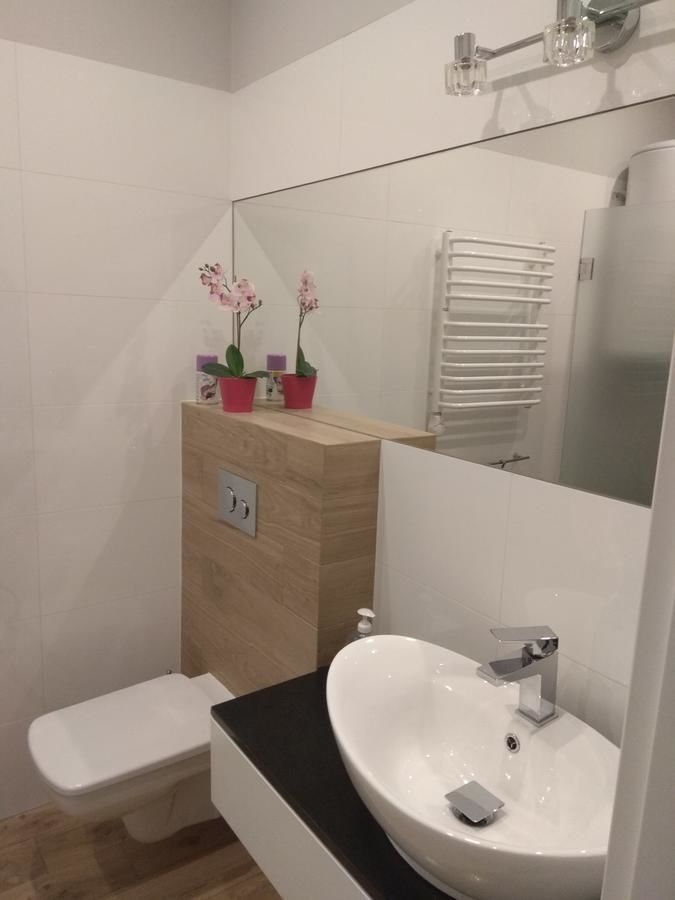 Апартаменты Apartament Słoneczny 6 Kościelisko Косцелиско-20