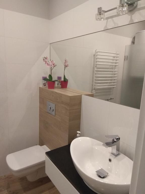 Апартаменты Apartament Słoneczny 6 Kościelisko Косцелиско-38